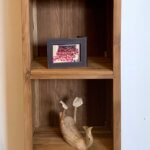 moderne teak boekenkast