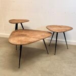 Set van 3 salontafels gemaakt mangohout