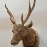 Wanddecoratie hertenkop massief teakhout
